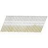 Senco 3 In. 16 Ga. Angled Strip Bright Framing Nails 20 Deg 4,000 Pk 1 Senco 3 In. 16 Ga. Angled Strip Bright Framing Nails 20 Deg 4,000 Pk -Senco Arrow Shop 952a747b acc3 43e3 8c03 1523e6e8224b