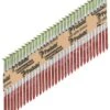 Paslode RounDrive 3 In. Angled Strip Hot-Dip Galvanized Framing Nails 30 Deg 2000 Pk 1 Paslode RounDrive 3 In. Angled Strip Hot-Dip Galvanized Framing Nails 30 Deg 2000 Pk -Senco Arrow Shop a5984c06 2f20 4610 9559 a04d434eeeae