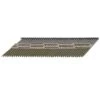 Bostitch 3 In. 11 Ga. Paper Strip Hot-Dip Galvanized Framing Nails 30 Deg 2000 Pk 2 Bostitch 3 In. 11 Ga. Paper Strip Hot-Dip Galvanized Framing Nails 30 Deg 2000 Pk -Senco Arrow Shop b3044a48 e150 4528 b036 ca4223f1f72f